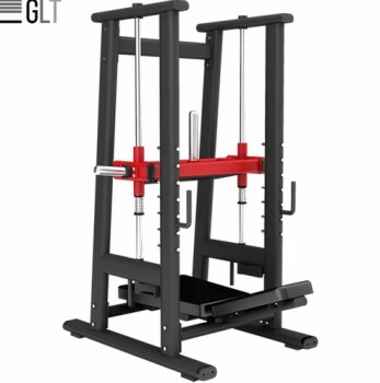 GLT PL76     bronze gym   vasil -     -, 