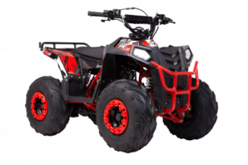  Wels  THUNDER EVO.M 110cc  s-dostavka -     -, 