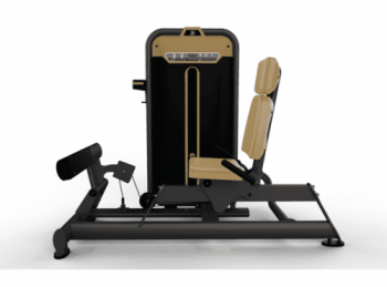    /STANDING CALF MACHINE BM-017A -     -, 