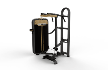    /STANDING CALF MACHINE BM-017 -     -, 