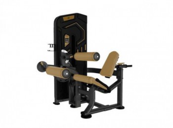   /SEATED LEG CURL AK-013 -     -, 