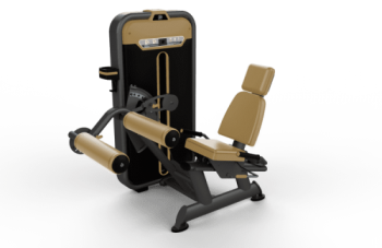   /SEATED LEG CURL BM-013 -     -, 