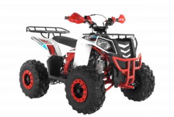  Wels ATV THUNDER EVO 125 s-dostavka  -     -, 